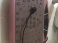 锻炼，抖脂，减肥三件套