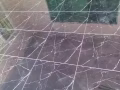 聘請瓷磚師傅