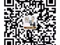 专业办理新加坡工作，在中国和新加坡均可办理。微信/电话同步13341561820