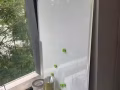 急因回國而低價處理物品 各種各類
