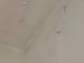 專業室內粉刷:油漆，隔間，刮大白，天花板發霉，牆體脫皮鼓包，做背景牆，電視牆， 