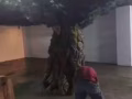 裝修設計，承接大小工程，衛生間防水，隔間吊頂，刮大白油漆，等。。。