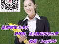 新加坡换工作找工作来找我 不成功不收费