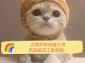  新加坡一手單 價格美麗 有需要家微信hy183577147