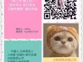 公司招聘 男女普工（本公司願意出信） 中介勿擾