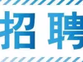 聘請文員admin