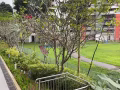 花拉公园 高级公寓 带泳池健身房 可住两人 大衣柜 大飘窗 近NAFA