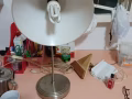 文庆有房出租廈只有男生