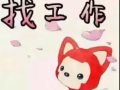 诚招厨房助手，传菜员，洗碗工