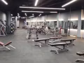 SG新加坡健身免费体验/试课