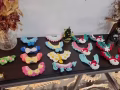 寵物項圈
