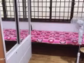 1分钟到海军部地铁站有女搭房出租。请电：91505796