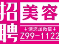 新加坡本地中介，收費低，質量高，辦理快，不成功不收費微信：Z99-1122