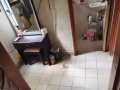 乌节路，高级公寓，男二人间，寻一位男搭，