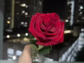 求租单间