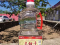 中国桶装白酒衡水老白干