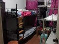主人房间出租