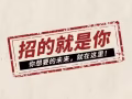 新加坡本地公司招聘HR人力资源助理