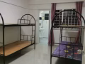 武吉巴督，招搭房