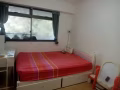 盛港普通房出租