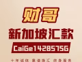 新加坡十年诚信换汇，汇率6.0-6.3，高汇率最好资金