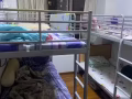 本人屋主，男搭房