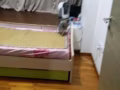 或兩男或倆女，或單身人士，每月1200元，無大煮，具體私信我