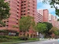 淡滨尼 大牌842H 大普通房