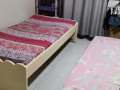 巴西立大牌485床位出租