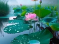 证寻聊天女网友