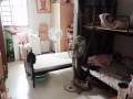 后港第130座。2个女床位出租，仅限女士，$400.   每间房最多3名女士。普通房间。无空调，有WiFi，可立即入住。